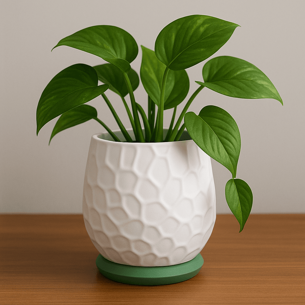 Nido Vase